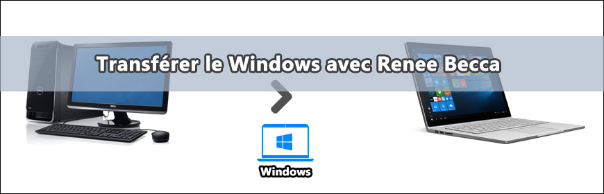 for windows instal Renee Becca 2023.57.81.363