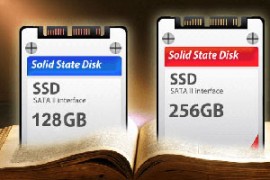 Capacité de stockage de SSD - Renee Becca