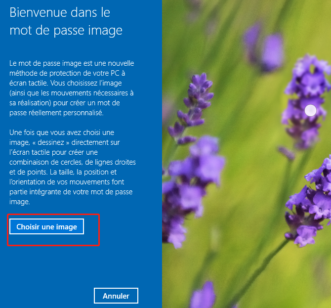 choisir une image pour le mot de passe Win 10