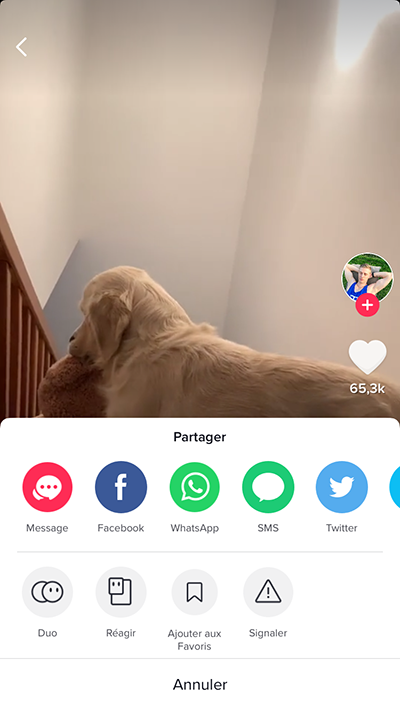 partager la vidéo TikTok