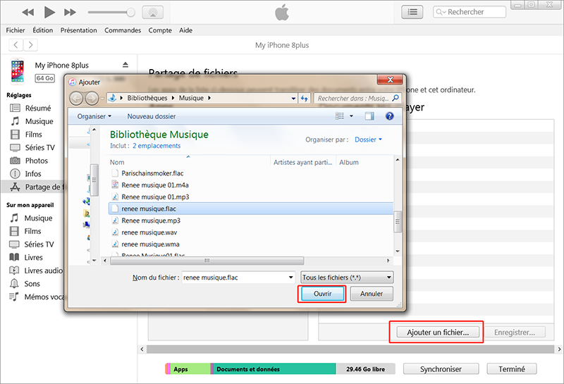 choisir le fichier flac