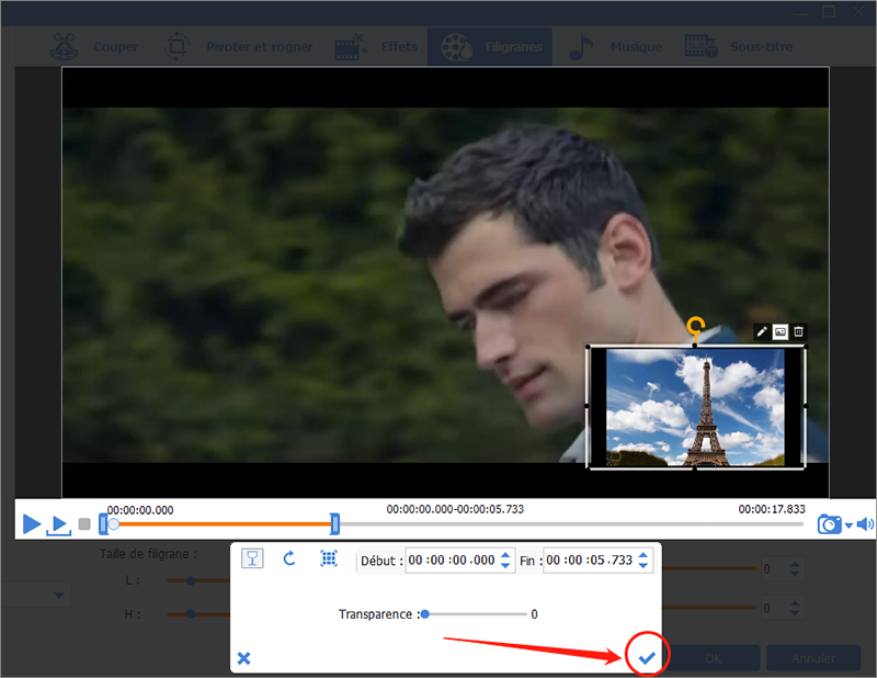 importer la vidéo et cliquez sur OK