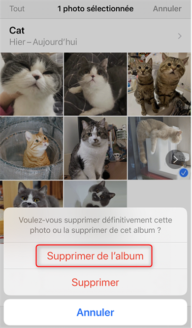 Supprimer des photos depuis l'album