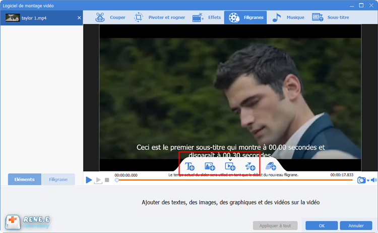 Comment Supprimer Le Sous Titre Incruste A Mp4 Rene E Laboratory