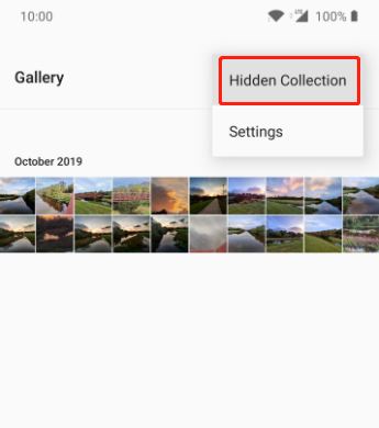 accéder à Gallery pour trouver le Hidden Collections