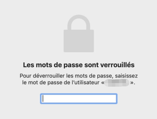 saisir le mot de passe du compte pour afficher les mots de passe enregistrés